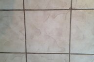 4 - Grout Before